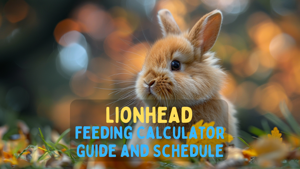 Lionhead Feeding Calculator – Chart and Schedule