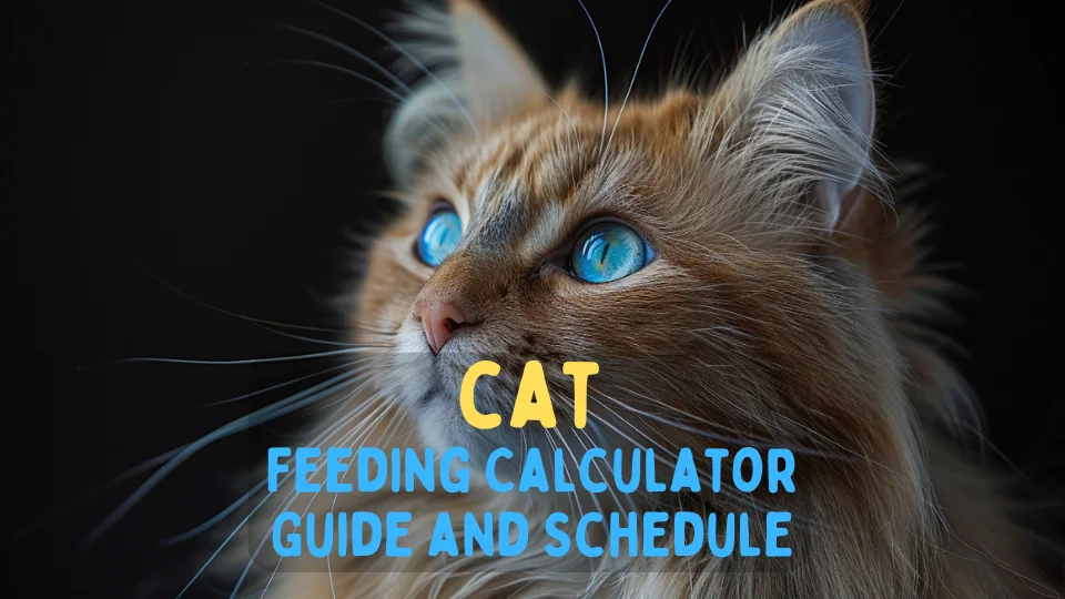 Cat Feeding Calculator – Chart and Schedule [Print]